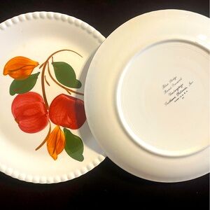 2 Vintage Blue Ridge Southern Potteries Candlewick Delicious Pattern 9" Plates